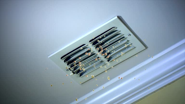 Best Commercial HVAC Duct Cleaning  in Aho Falls, ID