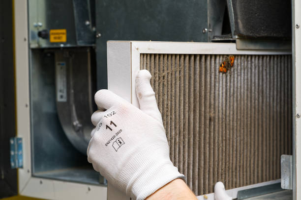 Best Dryer Vent Cleaning Services  in Aho Falls, ID