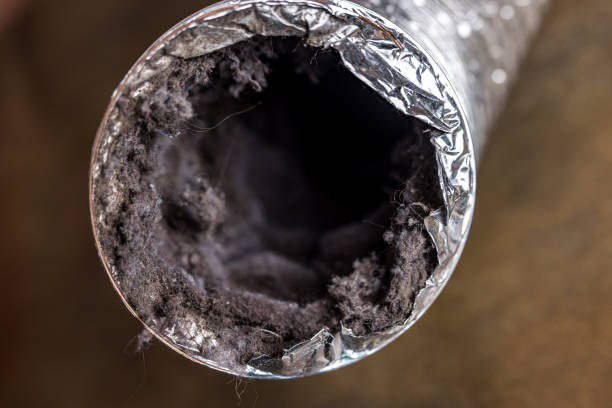 Best Home Air Vent Cleaning  in Aho Falls, ID