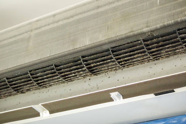 Best Professional Duct Cleaning Services  in Aho Falls, ID
